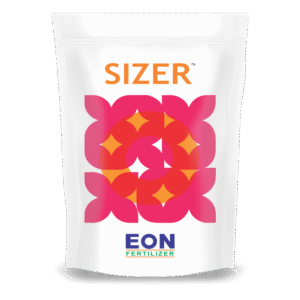 Sizer
