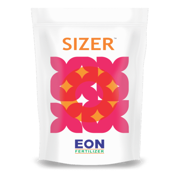 Sizer