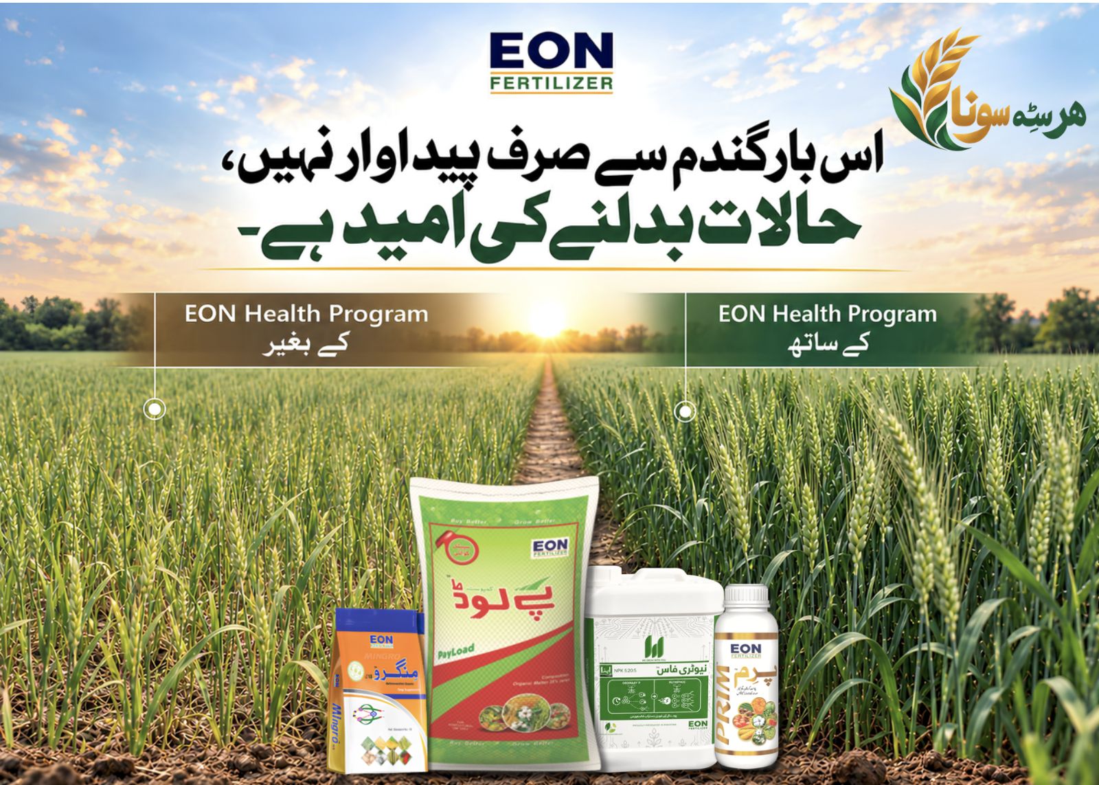 Wheat grown without the EON programme beside wheat grown with it, shown with EON Mingro, PayLoad, NutriPhos and Prim
